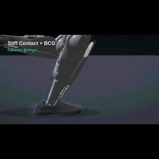 bcg.gif